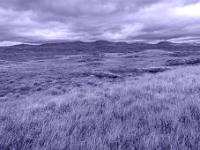 Isle of Lewis and Harris